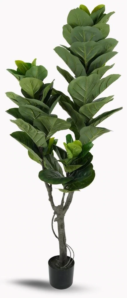 Fiddle Tree x79 big Lvs PE Leaves And PU Trunk 180cm